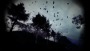 Slender: The Arrival PS4 - PlayStation 4