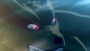 NARUTO SHIPPUDEN: Ultimate Ninja STORM Legacy - PlayStation 4