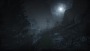 Outlast 2 PS4 - PlayStation 4