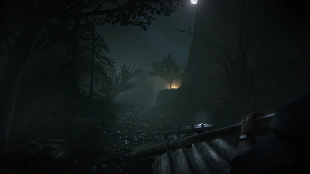 Outlast 2 PS4 - PlayStation 4