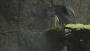 The Last Guardian - PlayStation 4