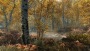 The Elder Scrolls V: Skyrim Special Edition - PlayStation 4