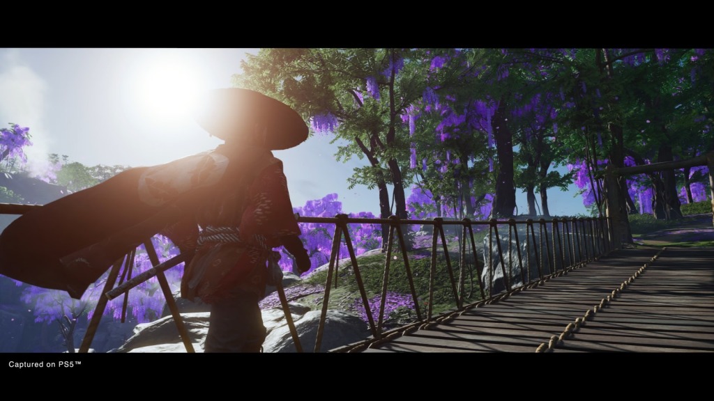 Ghost of Tsushima: DIRECTOR’S CUT (Cuenta Steam) - Steam
