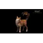 Beast of Reincarnation - PS5