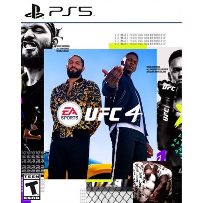 UFC 4 Standard Edition PS4