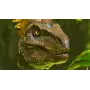 ARK Survival Ascended + Bob's Tall Tales - Cuenta Steam - Steam