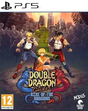 Double Dragon Gaiden: Rise of the Dragons PS5 - PlayStation 5
