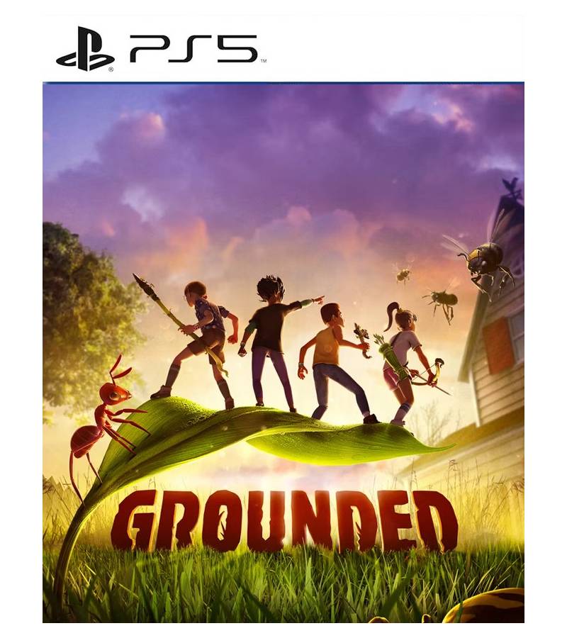 Grounded PS5