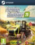 Farming Simulator 25 (CUENTA STEAM)