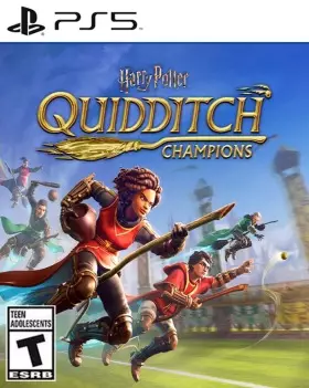 Harry Potter: Campeones de quidditch PS5 - PlayStation 5
