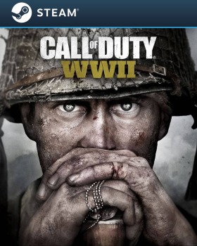 Call of Duty WWII  (Cuenta Steam) - Steam