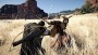 Crimson Desert - PS5 - PlayStation 5