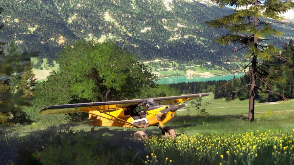Microsoft Flight Simulator 2024- Standard Edition - PS5 - PlayStation 5