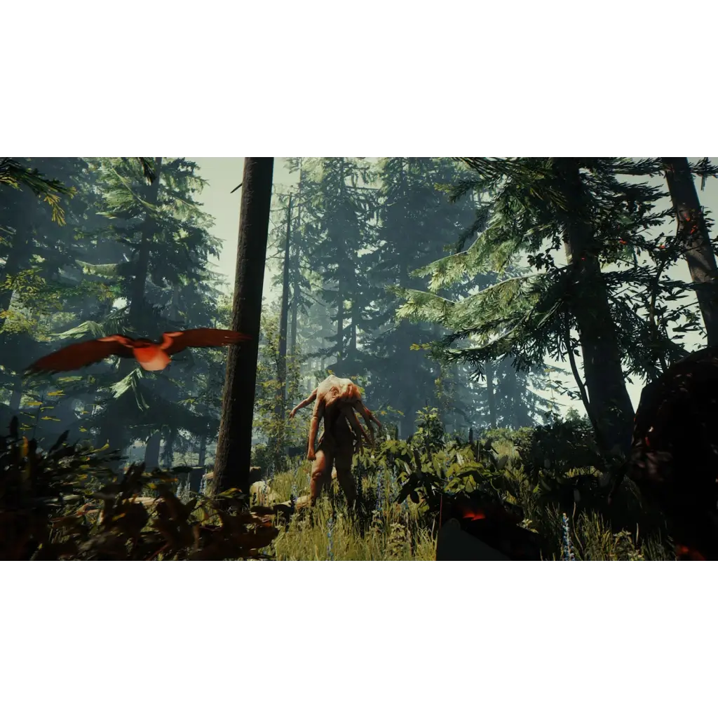 The Forest PS5 - PlayStation 5