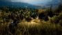 Hunting Simulator 2 PS5 - PlayStation 5