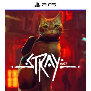 Stray PS5 - PlayStation 5